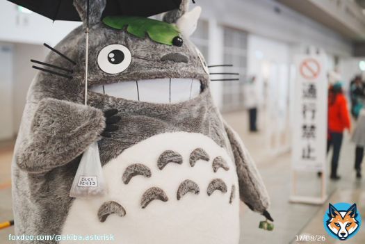 コミックマーケットに、トトロさんいました 後ろ姿も良いです。 #C101 #C101コスプレ