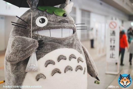 コミックマーケットに、トトロさんいました 後ろ姿も良いです。 #C101 #C101コスプレ