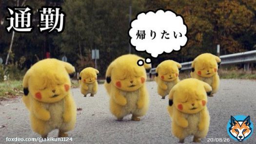 仕事納め