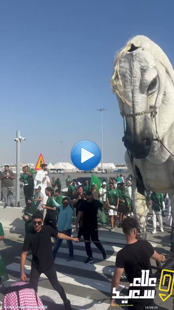 شاهدوا أكبر مسيرة حتى الآن في #كأس_العالم_قطر_2022 لجماهير #المنتخب_السعودي الآن والتوجه الى ملعب لوسيل مشياً  والله فخر وشيئ جميل يستحق المشاهدة  سنابي :   #السعوديه_الارجنتين  #Qatar20220:41585.4K views