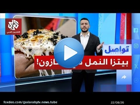 'بيتزا النمل' أغرب طبق في غابات الأمازون.. هل تتخيل طعمها؟ | تواصل