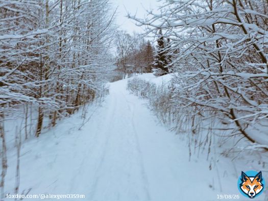 Winter's tale #merrychristmas #happynewyear #goodmorning #GoodLuck #Healthcare