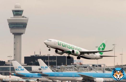 TRANSPORT |  The Dutch low-cost company Transavia is strengthening program from July 2023 between Nantes/Strasbourg to Algiers/Constantine  Transavia already has connections to Algiers Oran Bejaia Setif Tlemcen Batna & Constantine  These programsare managed by Transavia France.