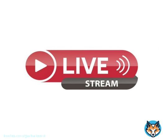 Live Stream Chelsea  vs Dinamo Zagreb LIVE LINK @LuisPablo20  Juventus vs PSG LIVE LINK @LuizNickolle  #JUVPSG #UCL  #CHEDIN