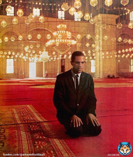 Al-Ḥajj Malik Al-Shabazz رحمه الله [Malcolm X] was martyred on this day in 1965.   &ldquo;One of the main things that I read about it that appealed to me was in Islam a man is honored as a human being and not measured by the color of his skin.&rdquo;May Allāh grant him Jannah.