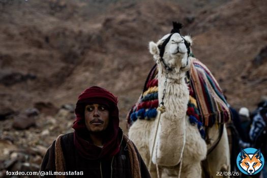 جبل موسى، كاتربن، جنوب سيناء  #documentaries2000 #documentaryphotography  #documentaries  #egypt  #everydayegypt #cathrine #portraitphotography #portrait #creativemagazine  #sinai #photooftheday #everydaysinai #akasimagazine  #apfmagazinesreetphotograpy #apfmagazine