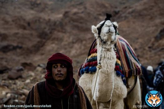 جبل موسى، كاتربن، جنوب سيناء  #documentaries2000 #documentaryphotography  #documentaries  #egypt  #everydayegypt #cathrine #portraitphotography #portrait #creativemagazine  #sinai #photooftheday #everydaysinai #akasimagazine  #apfmagazinesreetphotograpy #apfmagazine