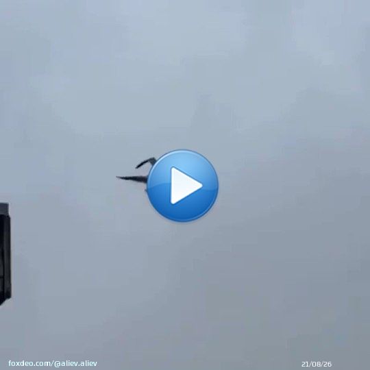 'Причиной крушения Су-34 в Ейске стало попадание двух чаек в двигатель'. Тим часом бойові чайки Азову&hellip;