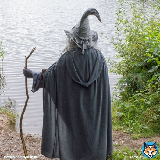 we were trying to hire software engineers for our talent pool and for whatever reason a bunch of self labelled 'wizards' started applying  seems like they transcended the physical realm and can code with the power of their minds