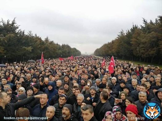 Tweet atamamaktan 2 kez telefonu a&ccedil;ıp kapamak zorunda kaldım   Biz zoru bozarız   Biz oyunu bozarız   Hedef 1 milyon tweet  Engelleri aşarak tarih yazarak EYT buralara geldi   Bir ka&ccedil; trol bizi yıldıramaz   #TastamamEYT