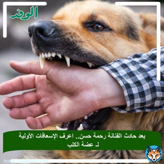 #بوابة_الوفد| بعد حادث الفنانة رحمة حسن.. اعرف الإسعافات الأولية لـ عضة الكلب