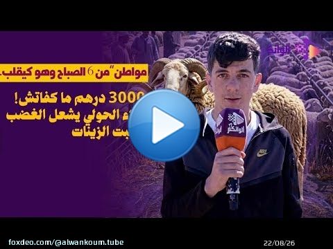 مواطن“من 6 الصباح وهو كيقلب.. 3000 درهم ما كفاتش! غلاء الحولي يشعل الغضب فسبت الزينات