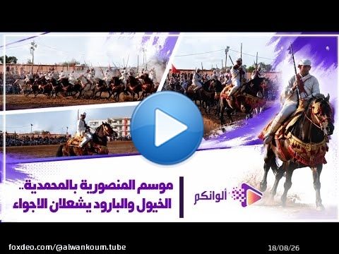 فرجة مغربية أصيلة.. التبوريدة تشعل سماء موسم المنصورية بالمحمدية