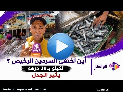 السردين بـ30 درهم في عز الصيف!.. المهنيون يكشفون المستور والمواطن مصدوم