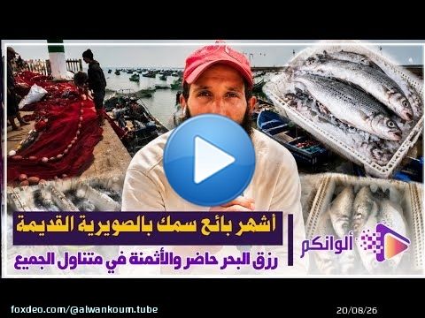 قرية الصيادين بالصويرية القديمة.. السمك من الفلوكة إلى الشواية بجودة وثمن مناسب