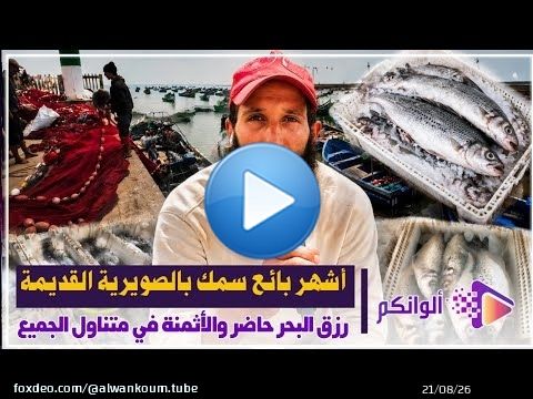 قرية الصيادين بالصويرية القديمة.. السمك من الفلوكة إلى الشواية بجودة وثمن مناسب