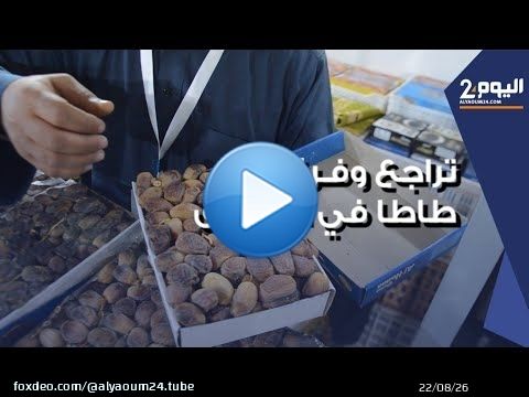 تراجع وفرة تمور طاطا في الأسواق بسبب توالي سنوات الجفاف والفيضانات