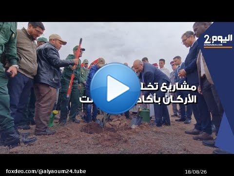الوكالة الوطنية للمياه والغابات تبرمج مشاريع اعادة تخليف أشجار الأركان بكل من اكادير وتارودانت