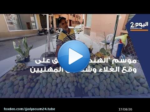 مراكش.. موسم “الهندية” ينطلق على وقع الغلاء وشكاوى المهنيين
