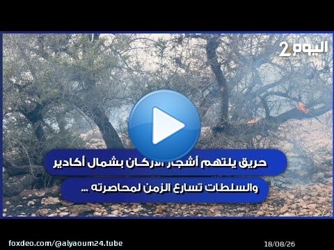 حر...يق يلتهم أشجار الأركان بشمال اكادير والسلطات تسارع الزمن لمحاصرته ...