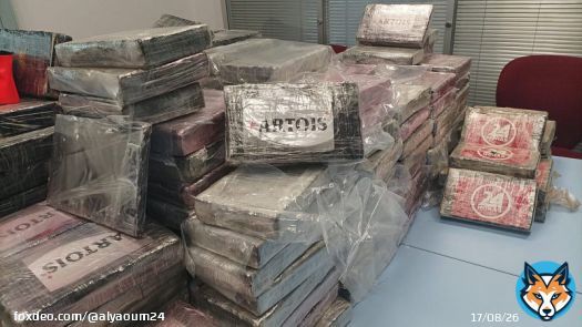 إحباط تهريب  362,9 كلغ من مخدر الكوكايين بمعبر الكركارات