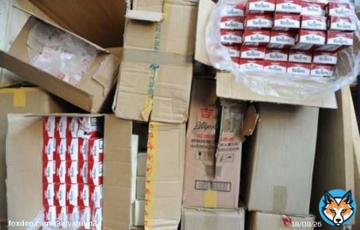 تقرير: الجمارك تتمكن من حجز أكثر من 843 ألف سيجارة مهربة في 2025 بارتفاع قياسي بلغ 231%