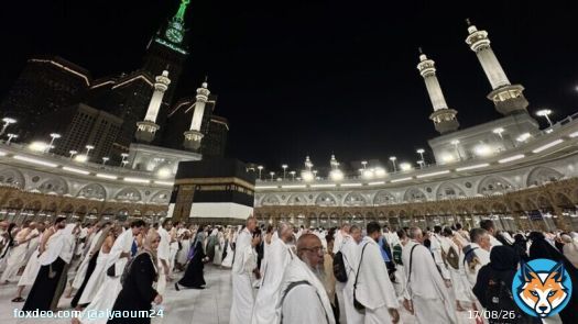 السعودية: نجاح موسم الحج بخدمات مكنت من أداء المناسك بيسر وطمأنينة
