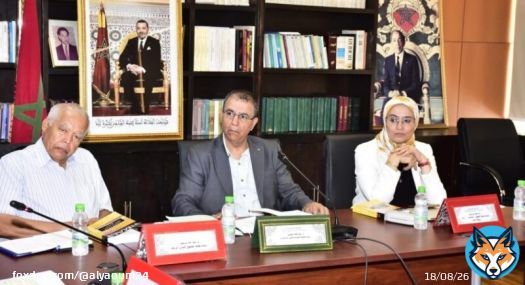 ساعف: الانتخابات تشكل مرصداً لتحليل وفهم الحياة السياسية المغربية