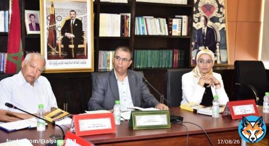 ساعف: الانتخابات تشكل مرصداً لتحليل وفهم الحياة السياسية المغربية