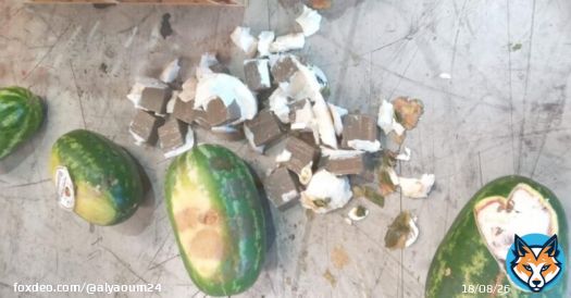 ميناء طنجة المتوسط: إحباط محاولة تهريب 350 كيلوغراما من مخدر الشيرا بفاكهة الدلاح