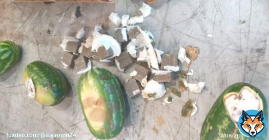 ميناء طنجة المتوسط: إحباط محاولة تهريب 350 كيلوغراما من مخدر الشيرا بفاكهة الدلاح