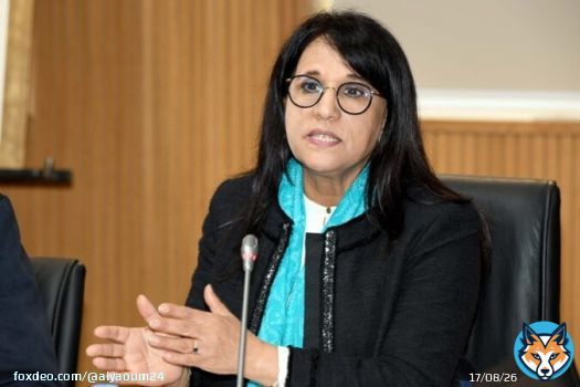 مجلس حقوق الإنسان يدعو إلى تحقيق مستقل وحماية الحقوق بعد أحداث سبتة