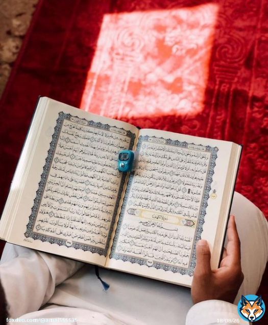 بدأت إشراقة #يوم_الجمعه الثانية من #شعبان و بدأت خطوات #رمضان تدنو و تقترب و تلوح النسائم الطيبة العطرة فيا الله بلغنا #رمضان ونحن مطمئنين بتمام العافيه و أبعد عنا البلاء و الوباء وأن تحرر أمنياتنا من بين يديك وتجعلها حقيقة يا الله   #صباح_الخير #عمان_تواجه_كورونا #جمعه_مباركه