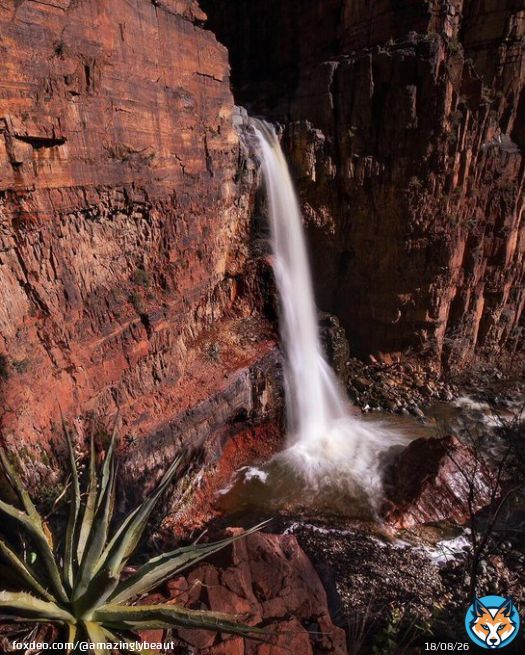 Waterfall in the desert, Central Arizona, [OC][1350x1080]. @chileno_hikertron - Author: rainforestguru on Reddit - #travel #photography #travelphotography #nature #photooftheday