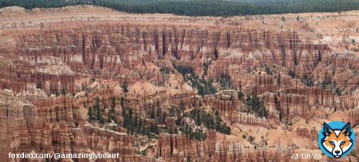 Lots of Hoodoos, Bryce Canyon, US [OC] [4032 &times; 1816] - Author: garym04 on Reddit - #travel #photography #travelphotography #nature #photooftheday