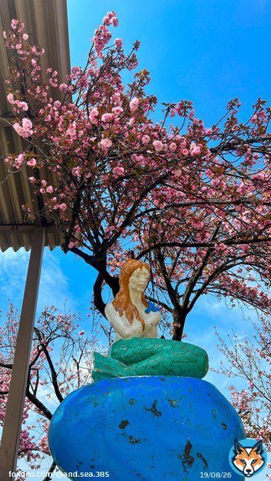 東京の素敵な桜と人魚 素敵ですﾈ  どこかわかる方いたらすごい