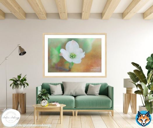 #Dogwood by #AndreaAnderegg SHOP HERE:  #valentines #valentinesday #sale #fineart #homedecor #dormdecor #inspirational #minimalism #buyart #artforsale #quotes #BuyIntoArt #AYearForArt #ArtDistrict #BuyArtNotCandy #PhotographyIsArt #AndreaAnderegg #Easter
