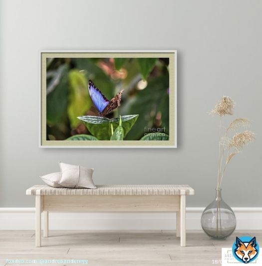 Butterfly by #AndreaAnderegg SHOP HERE:  #valentines #valentinesday #artsale #sale #fineart #homedecor #dormdecor #inspirational #minimalism #buyart #artforsale #quotes #wallart #BuyIntoArt #AYearForArt #ArtDistrict #BuyArtNotCandy #PhotographyIsArt