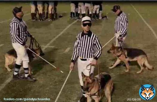 The refs be like #MIAvsBUF