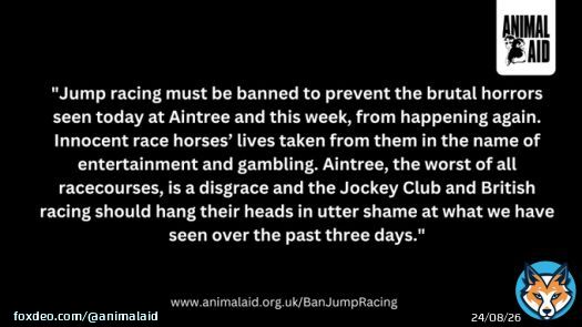 RIP Hill Sixteen, who was killed at the first fence of the  #GrandNational at #Aintree this afternoon.   Another innocent horse has their life taken from them in the name of entertainment and gambling.   #BanJumpRacing #YouBetTheyDie
