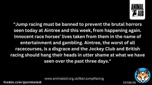 RIP Hill Sixteen, who was killed at the first fence of the  #GrandNational at #Aintree this afternoon.   Another innocent horse has their life taken from them in the name of entertainment and gambling.   #BanJumpRacing #YouBetTheyDie