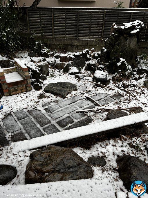 浅草の方は雪が降ってないそうな&hellip; アニ&times;シェアの北小岩や金町も降ってないのかな&hellip; 世田谷区は雪降ってますよ！ #アニメ好きのシェアハウス  #東京の雪　#大雪警報