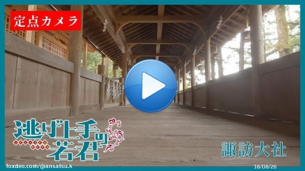 緊急企画 #逃げ若 カメラその六  諏訪大社から配信  コチラをチェック   何かが見つかる  #逃げ上手の若君