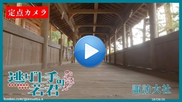 緊急企画 #逃げ若 カメラその六  諏訪大社から配信  コチラをチェック   何かが見つかる  #逃げ上手の若君