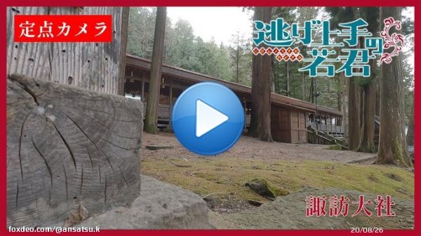 緊急企画 #逃げ若 カメラその七  諏訪大社の別視点から配信  コチラをチェック   荘厳な場所で何かを発見  #逃げ上手の若君