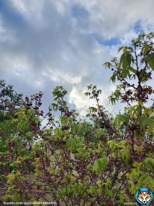 Cloudy mild morning ,waiting for the sun