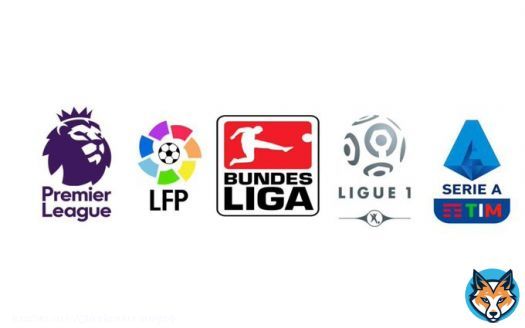 What each League stands for: (Moto)  Ligue1 - The League of Talent  Bundesliga - The League to Develop  Serie A - The League of History  LaLiga - The League of Elegance  Premier League - The League of &hellip;&hellip;&hellip;&hellip;&hellip; Money