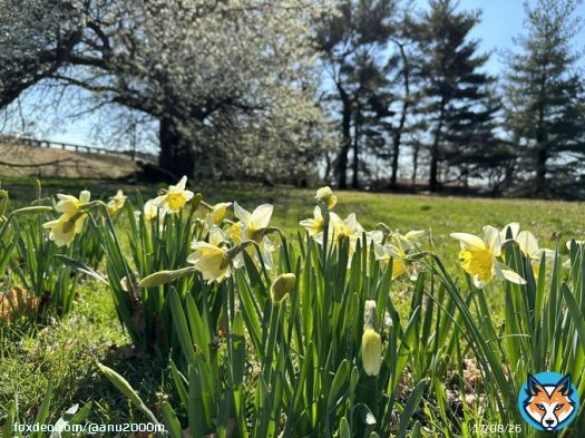 Happy Monday #DMV folks! The sun&rsquo;s shining bright! Have a lovely week   #Spring #Monday #Morning #Sunny  #GoodVibes #Nature #MondayMotivaton
