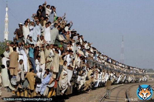 インド人、電車も橋も乗りすぎだよ  インドで吊り橋崩落。重量オーバーが原因か？  ※画像は拾い画ですm(_ _)m #橋崩落 #インド #吊り橋 みなさん無事でありますように