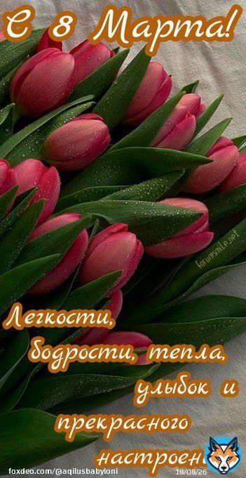 Добрый вечер и счастье И розы и жасмин Счастливых дней и хороших времен Сейчас идет дождь И погода жаркая Это может быть последний дождь в этом году Розы - подарок от меня моему лучшему другу